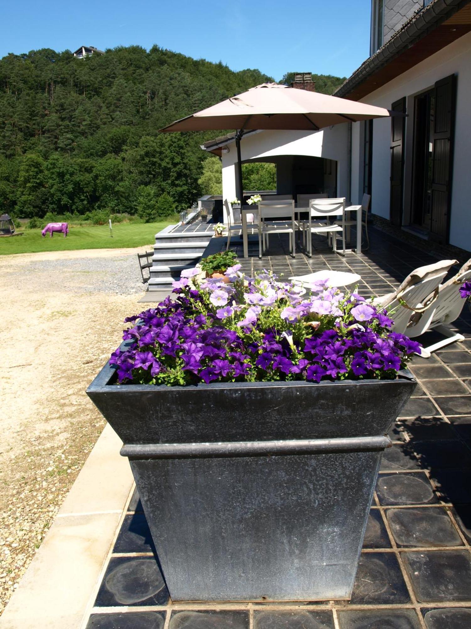 Studio & Appartement Au Lac Sart-lez-Spa Exterior foto